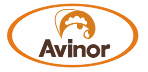Avinor